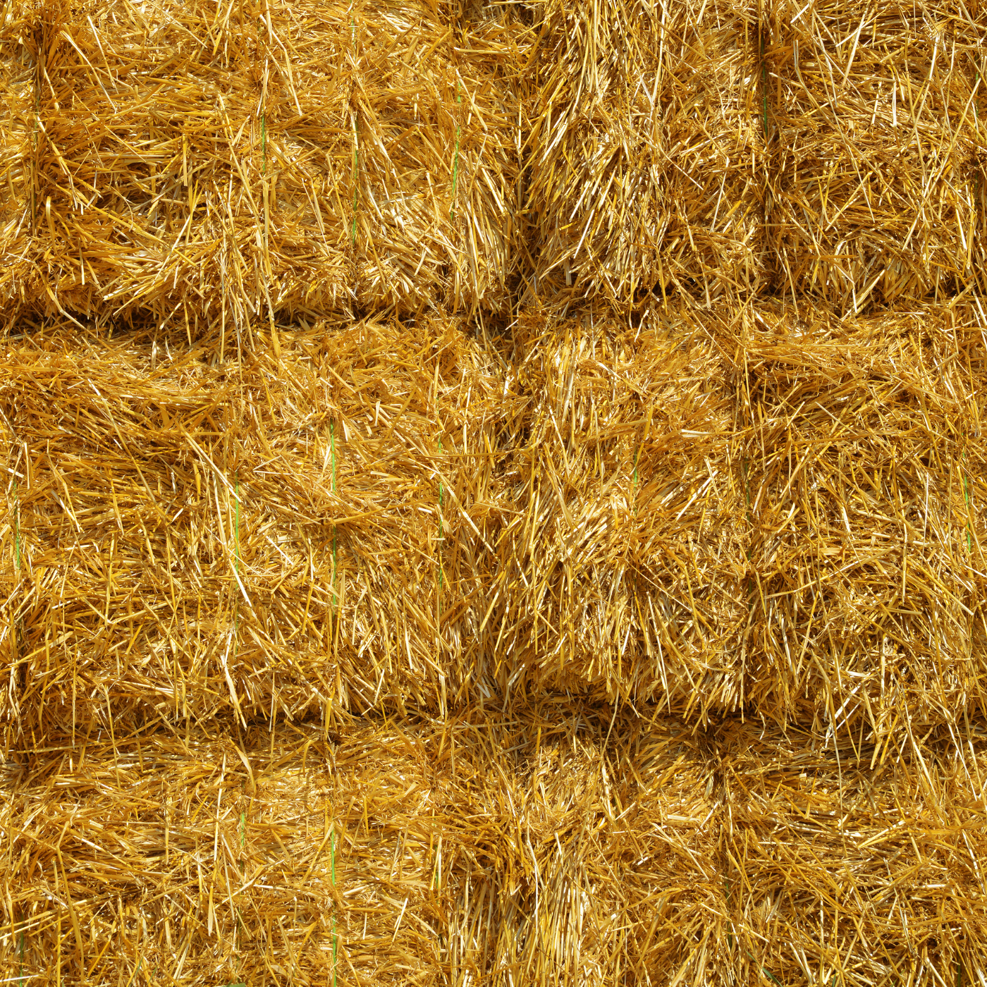 Straw Bundle