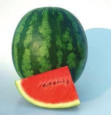 WATERMELON SHINY BOY - 4" POT