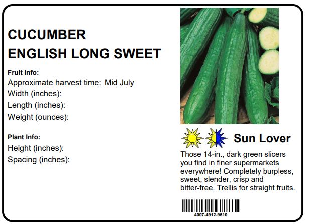 CUCUMBER ENGLISH LONG SWEET CRUNCH - 4" POT