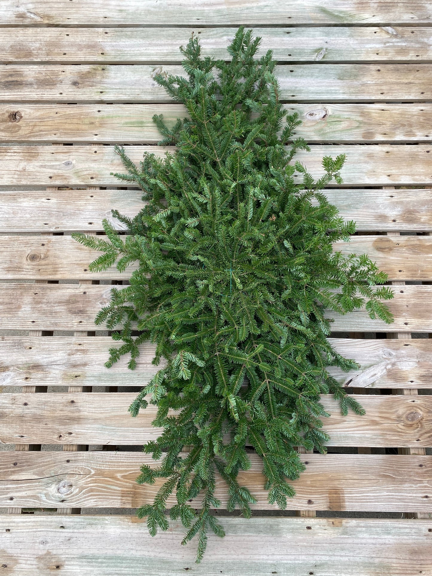 Large Grave Blanket - Undecorated (Xmas)