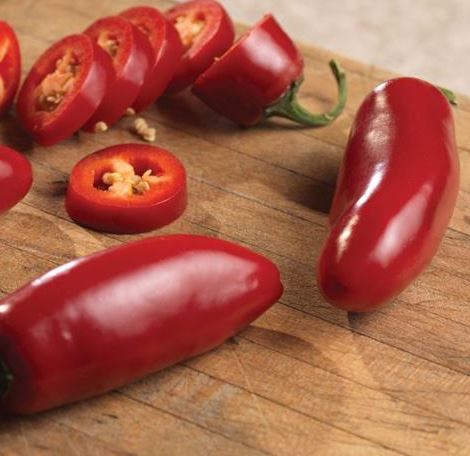 PEPPER SIRACHA - 4" POT