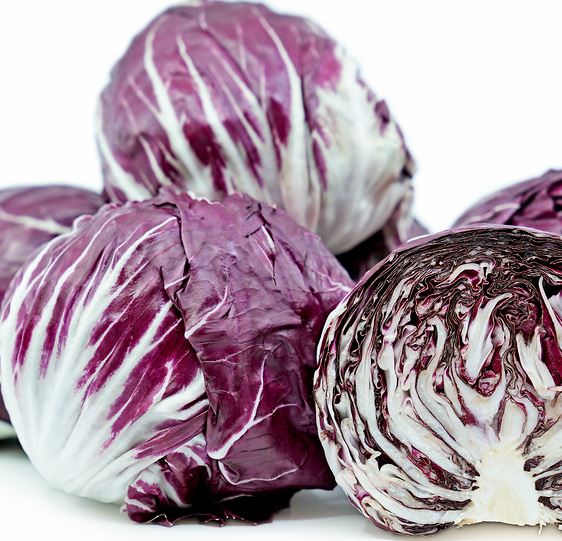 RADICCHIO INDIGO - 4 PACK