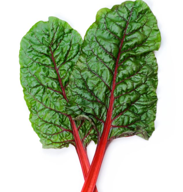 SWISS CHARD RED