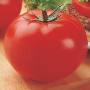 TOMATO BIG BEEF - 4" POT