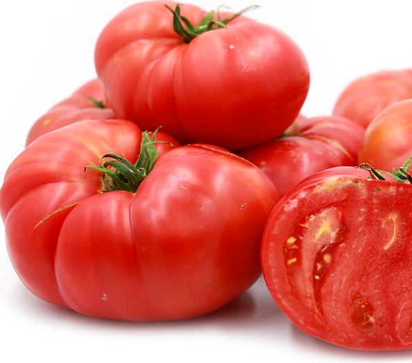 TOMATO BRANDYWINE - FLAT OF 32 PLANTS