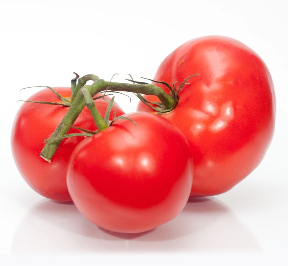 TOMATO BURPEE BIG BOY - 2 GALLON WITH CAGE