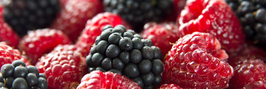 Growing Brambles (Raspberries & Blackberries)