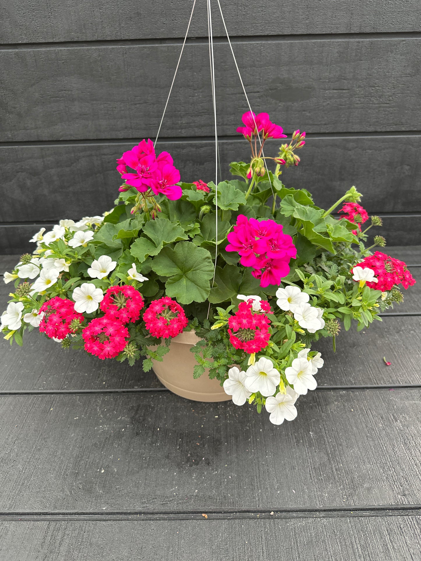 BASKET #95 - 12'' HANGING BASKET