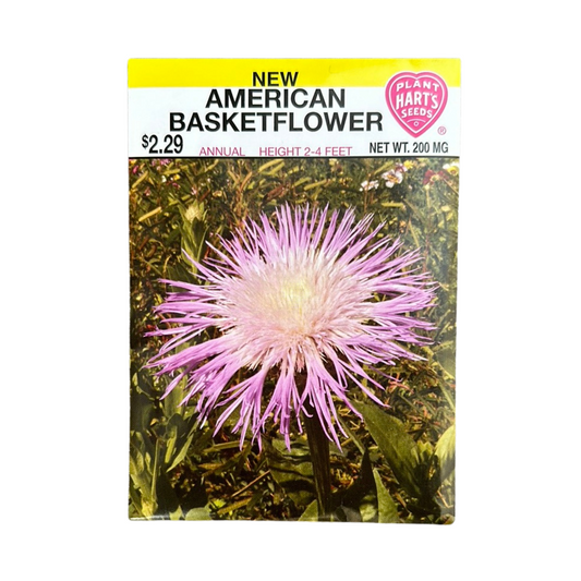 American Basketflower