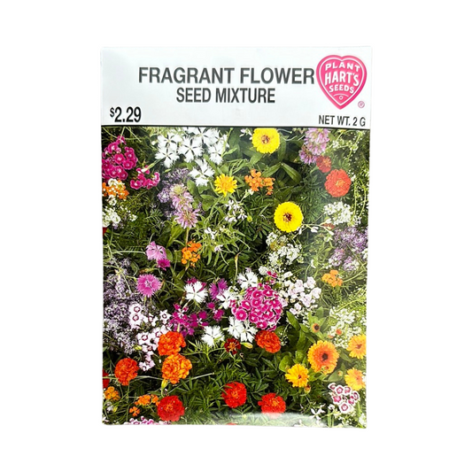 Fragrant Flower Seed Mix