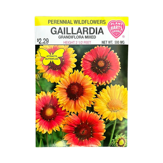 Gaillardia Grandiflora