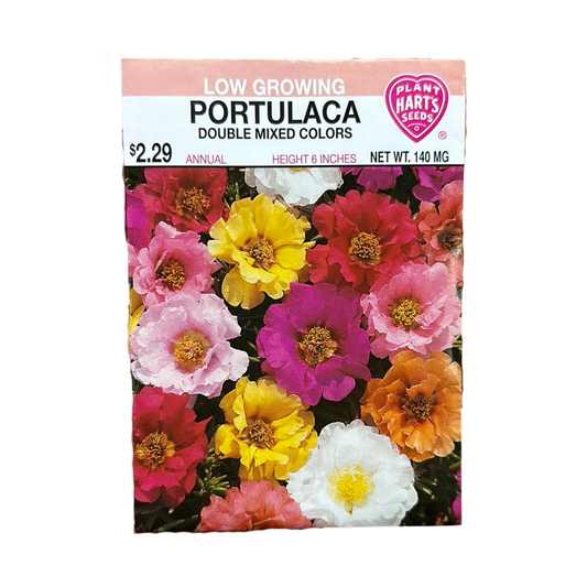 Portulaca Double