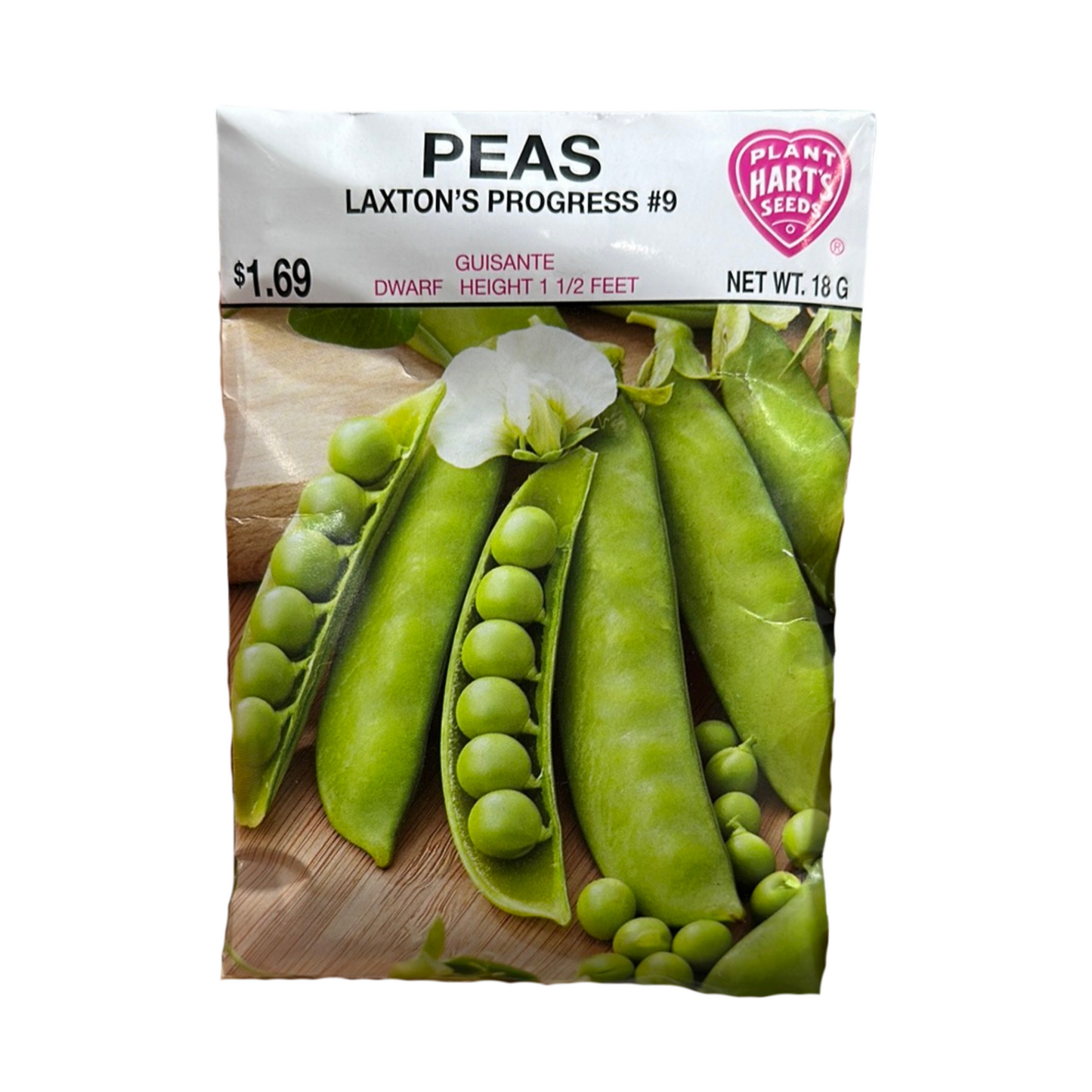 Pea Laxton's Progress