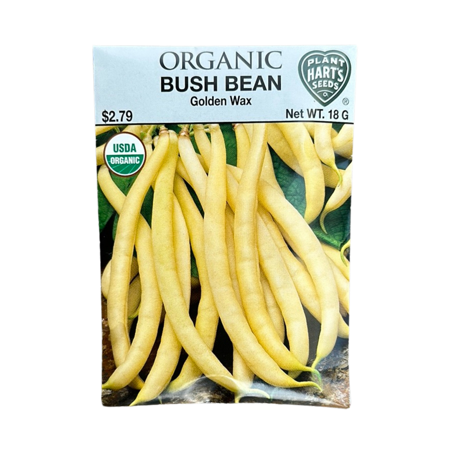 Organic Bean Golden Wax Bush