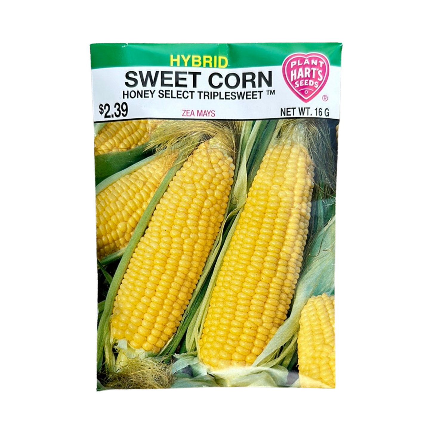 Corn Honey Select
