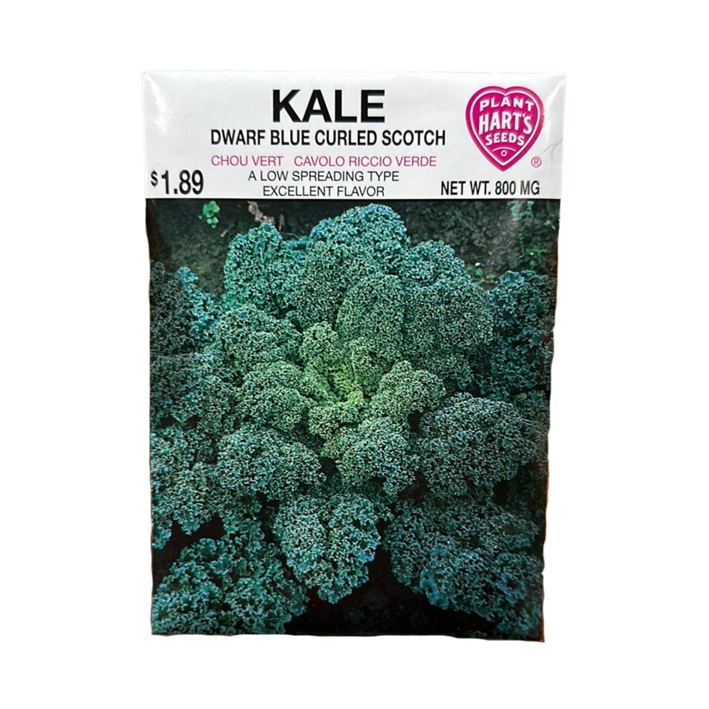 Kale Blue Curled