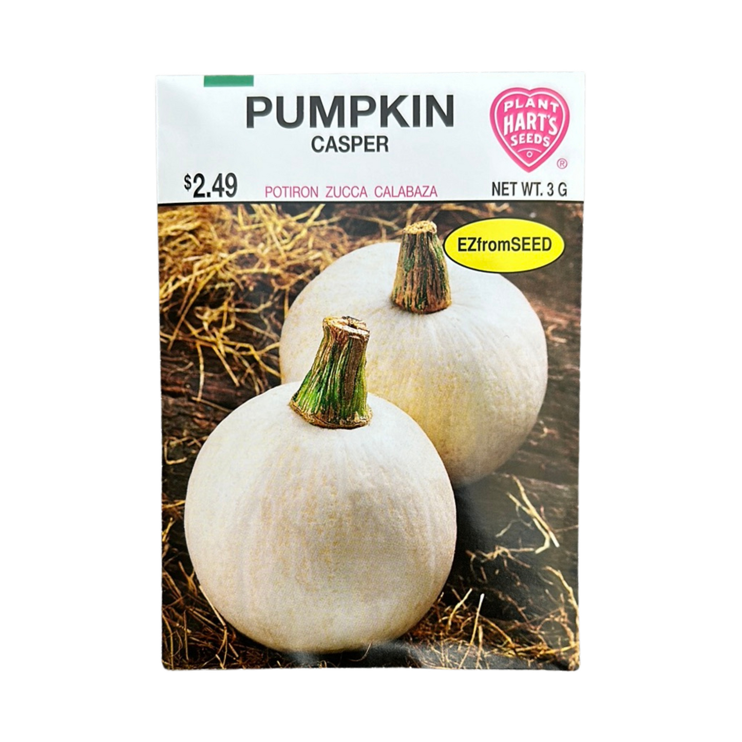 Pumpkin Casper (White)