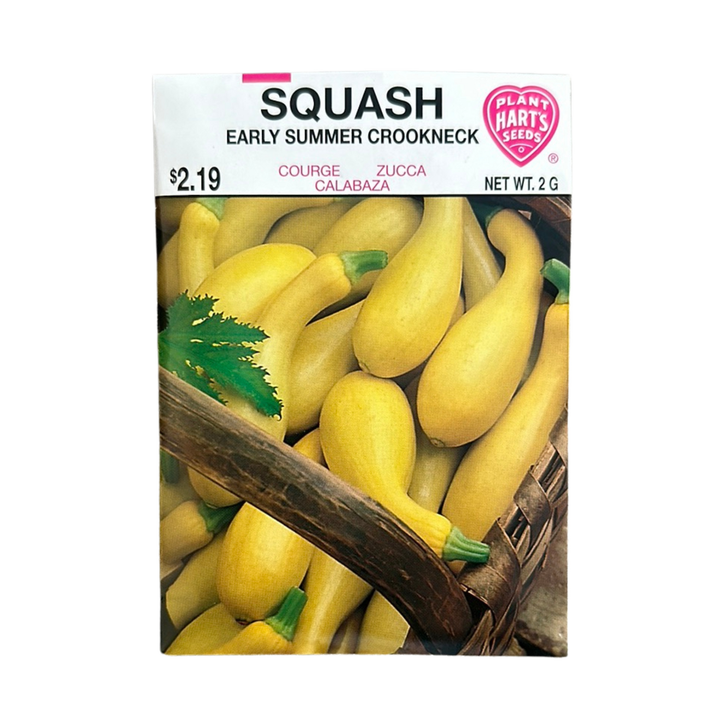 Squash Early Summer Crookneck