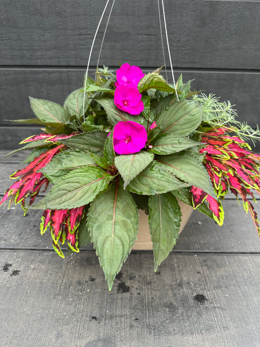 BASKET #39 - 12'' HANGING BASKET