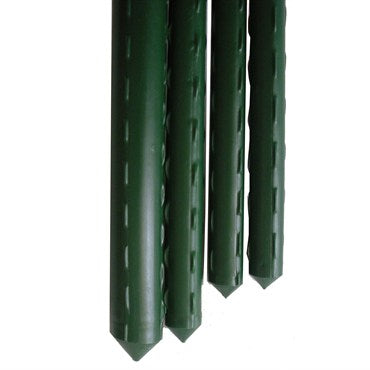 Gardener Select 2' Green Vinyl Steel Stake