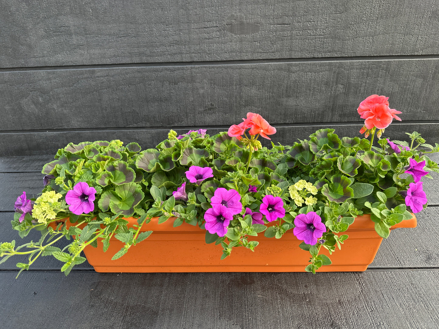 COMBO #1 - 24" WINDOW BOX