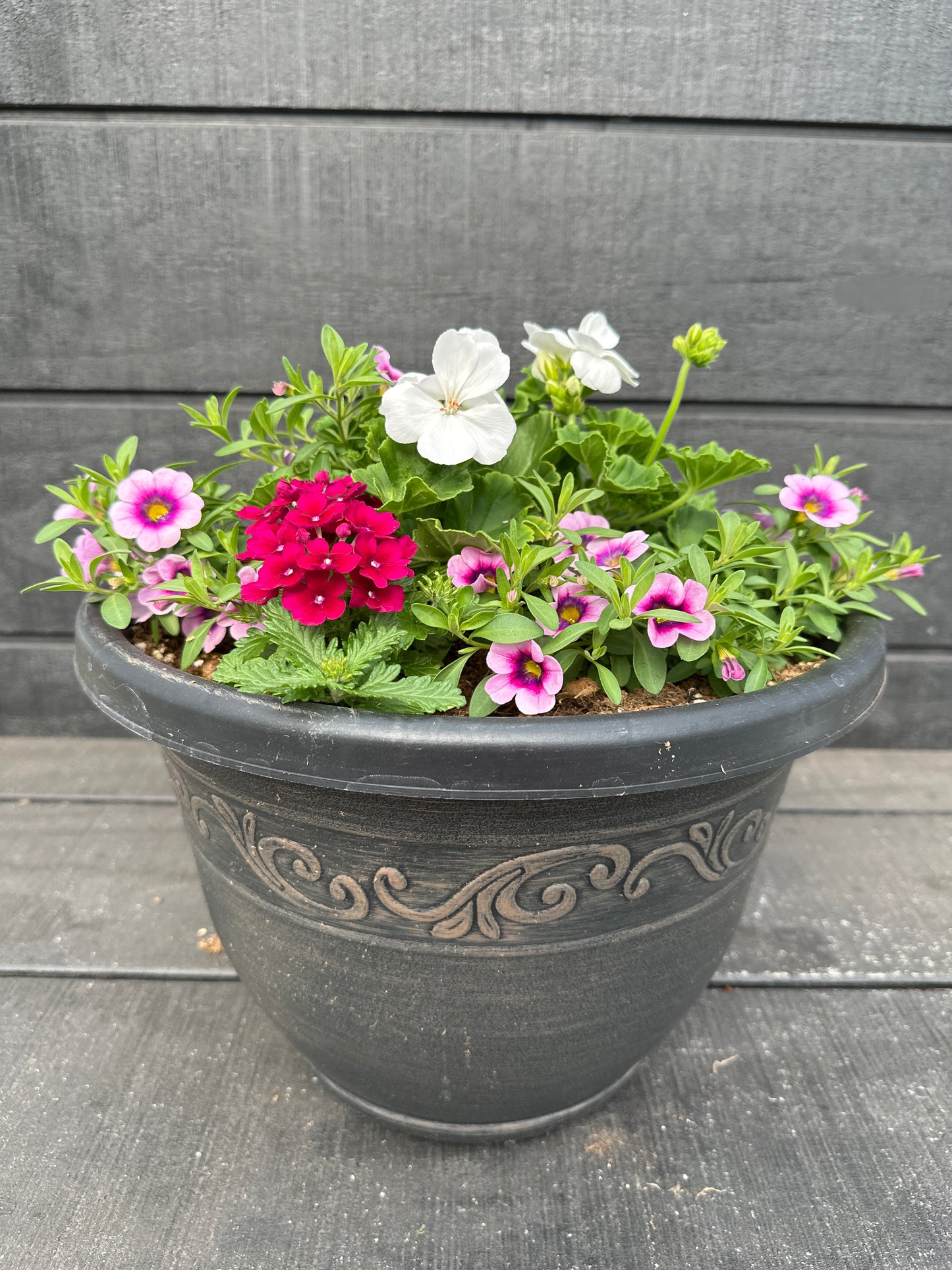 COMBO #101 - 12" POT