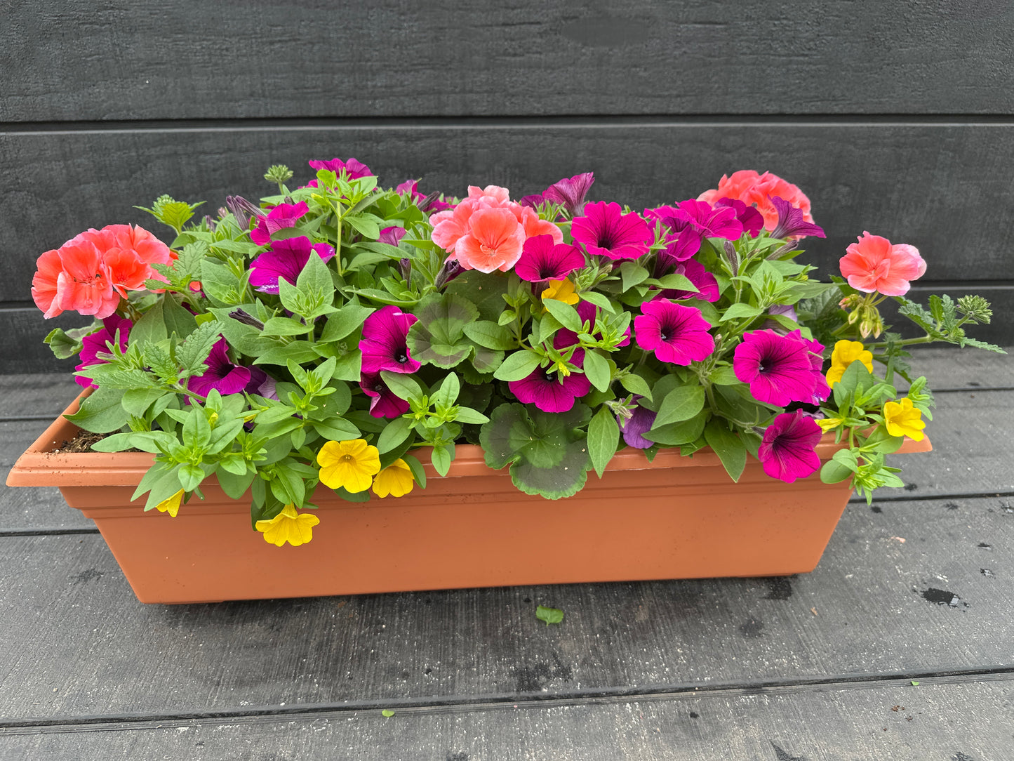 COMBO #1 - 24'' WINDOW BOX