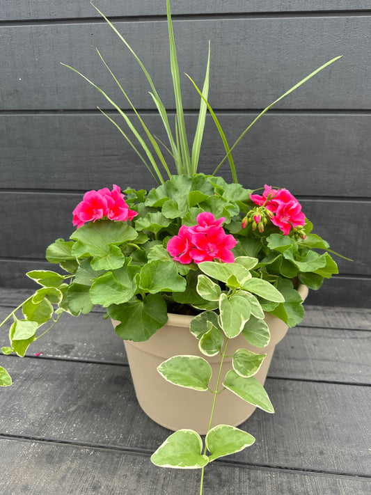 COMBO #19 - 12'' POT