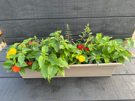 COMBO #10 - 30" WINDOW BOX
