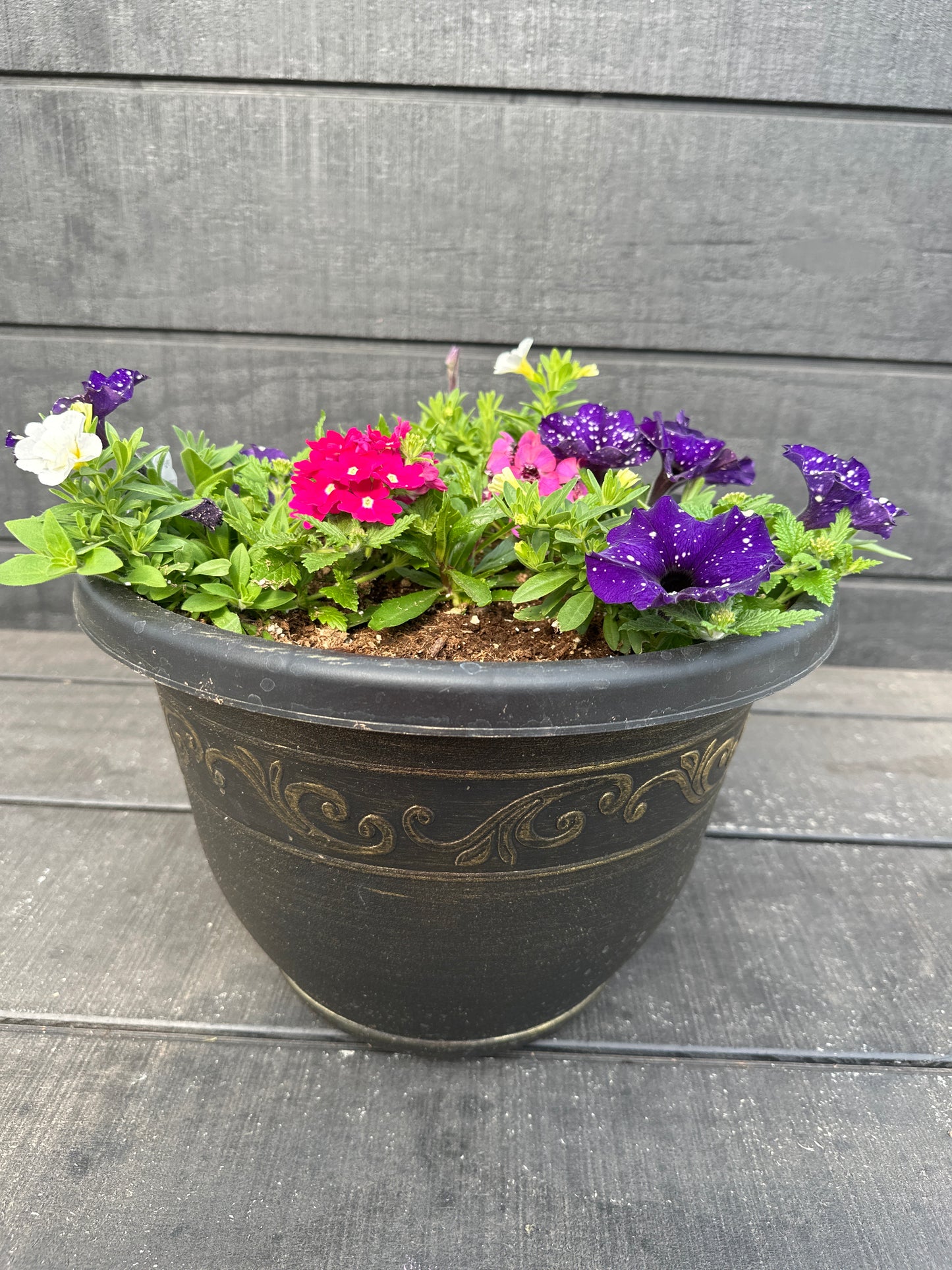 COMBO #100 - 12" POT