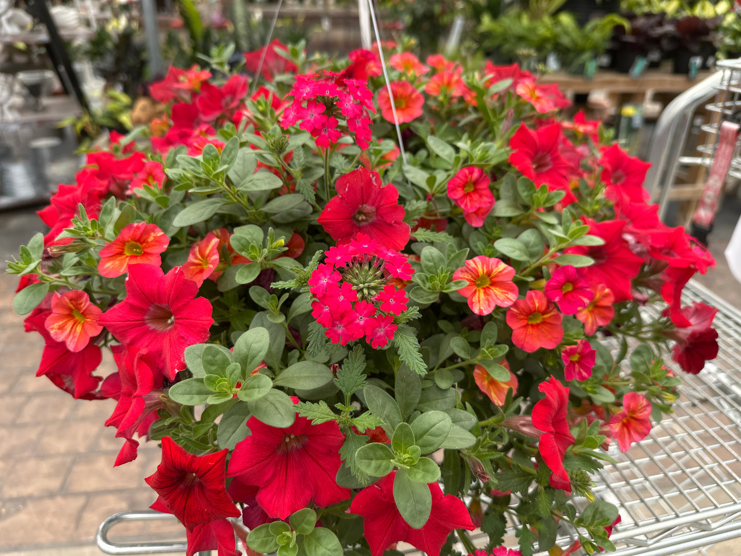 BASKET #32 - 10" HANGING BASKET