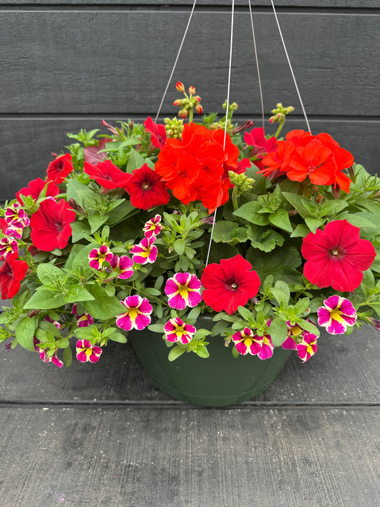 BASKET #27 - 12'' HANGING BASKET