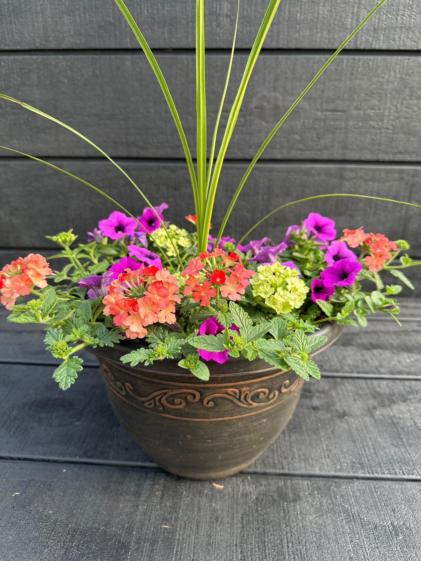 COMBO #5 - 10'' POT