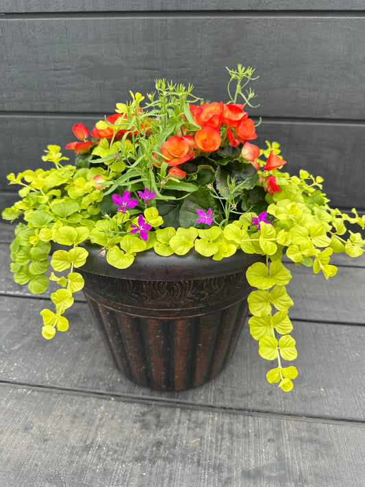 COMBO #90 - 12" POT