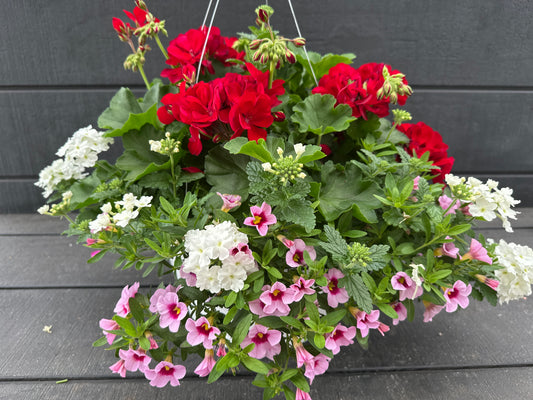 BASKET #58 - 12" HANGING BASKET