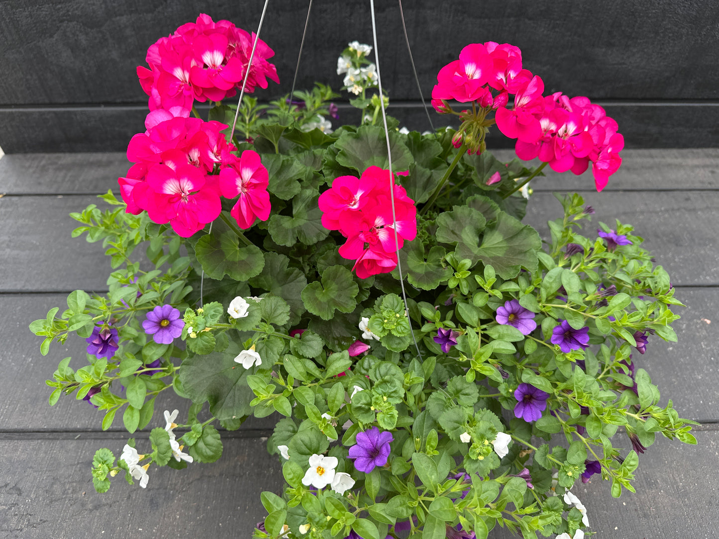 BASKET #74 - 12'' HANGING BASKET
