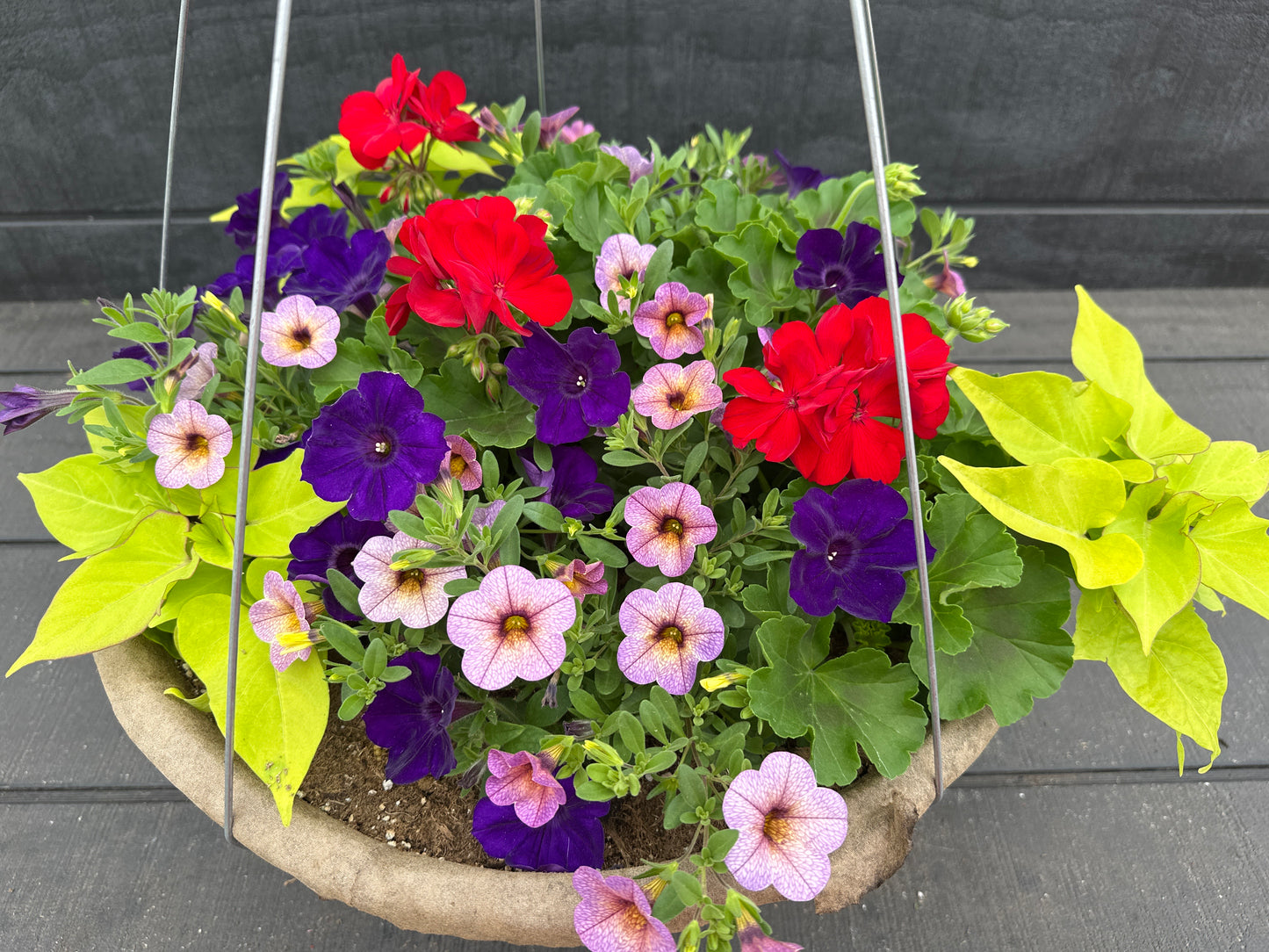 BASKET #11 - 16" HANGING BASKET