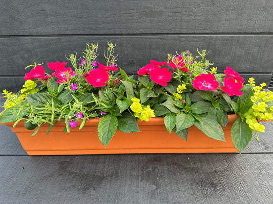 COMBO #8 - 30" WINDOW BOX