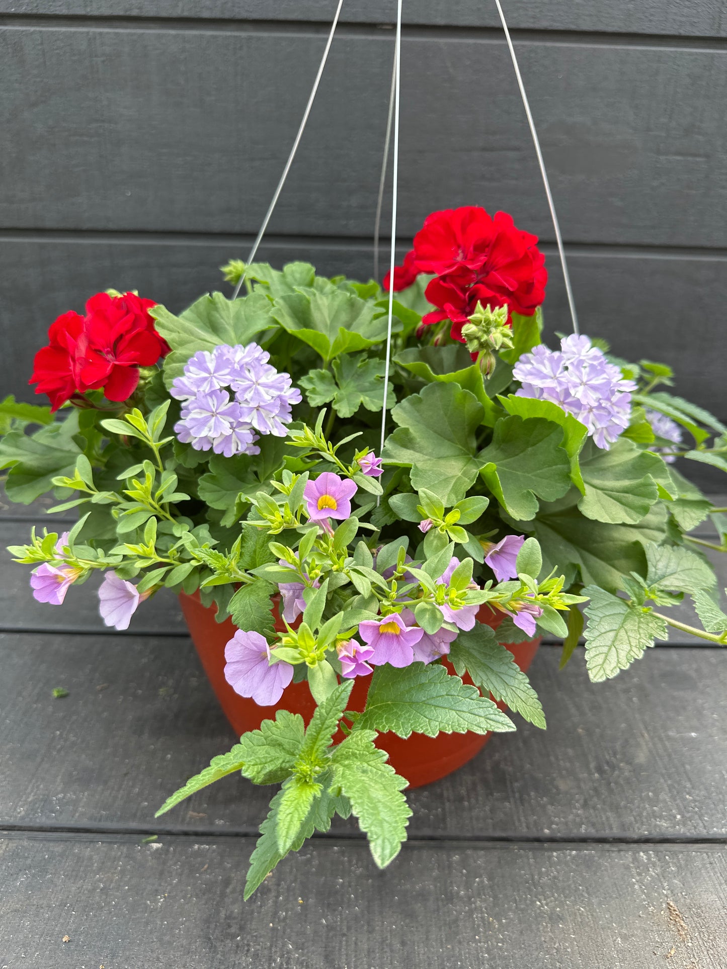 BASKET #93 - 12'' HANGING BASKET