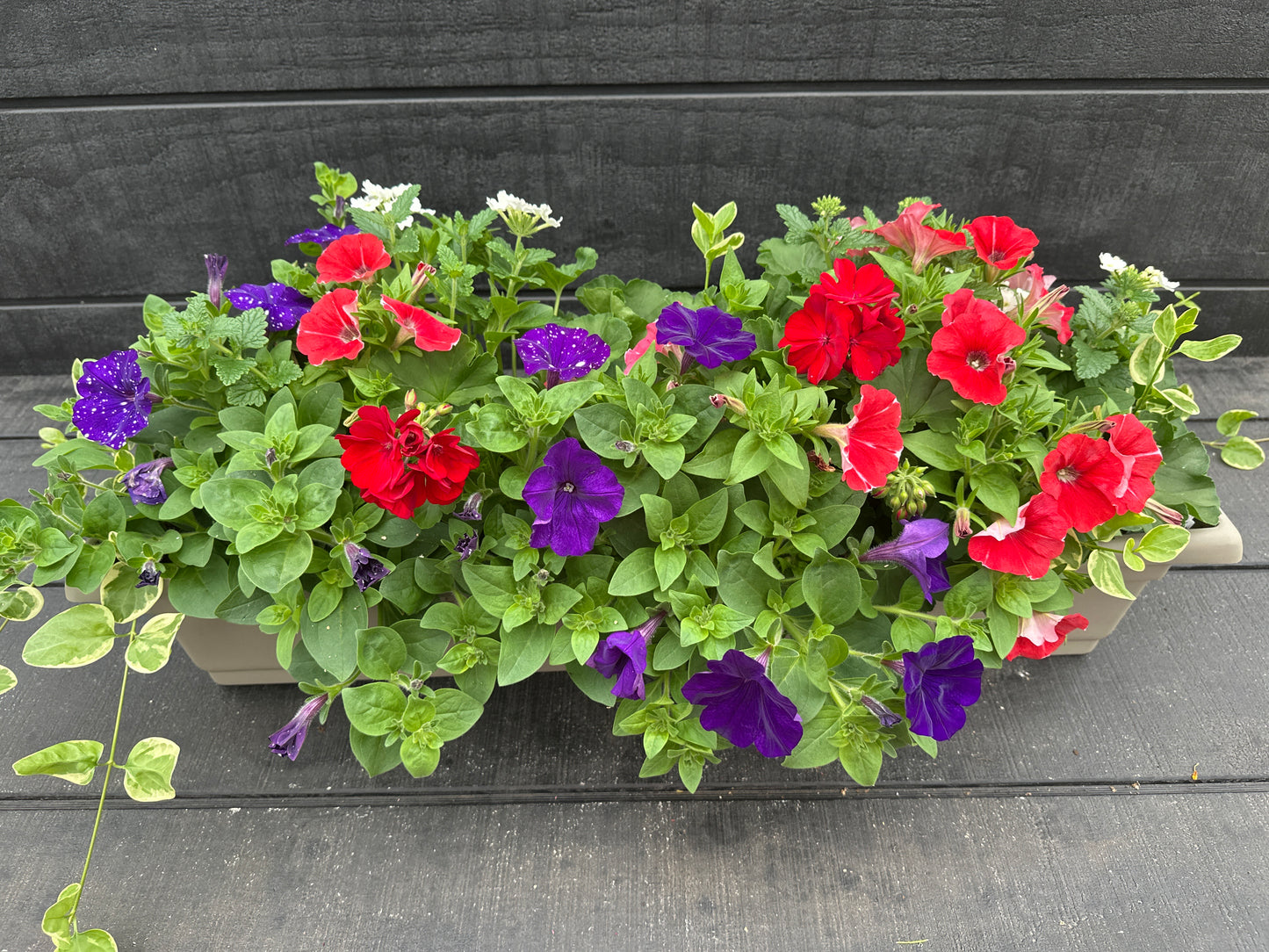 COMBO #4 - 30'' WINDOW BOX