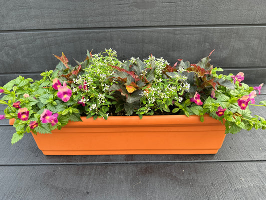 COMBO #22 - 24" WINDOW BOX