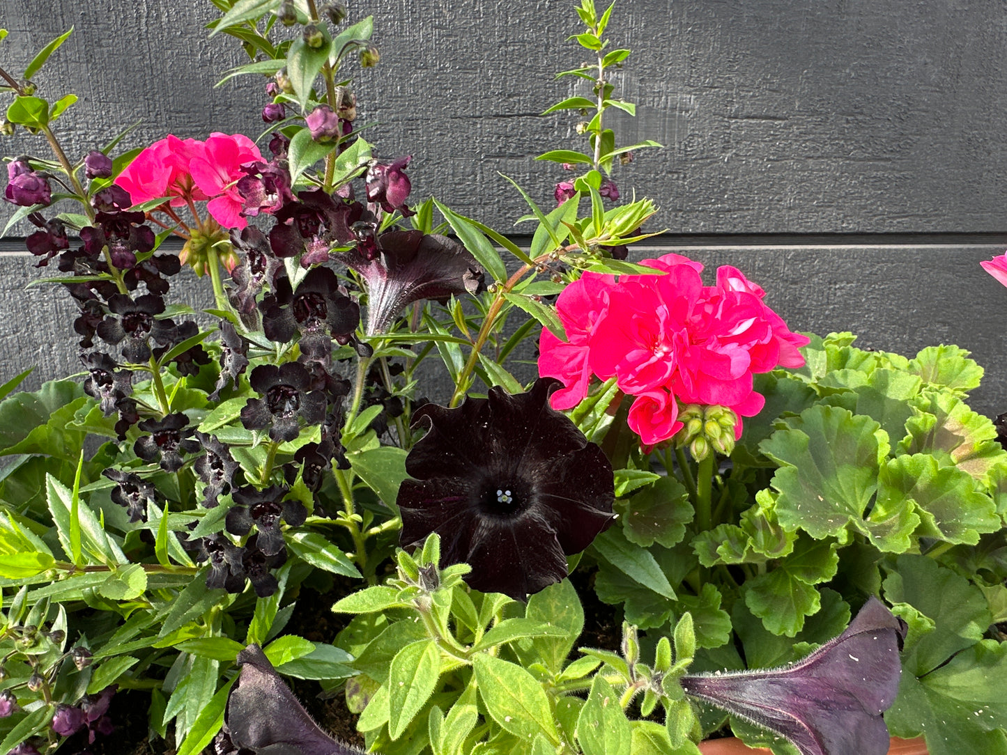 COMBO #11 - 30'' WINDOW BOX