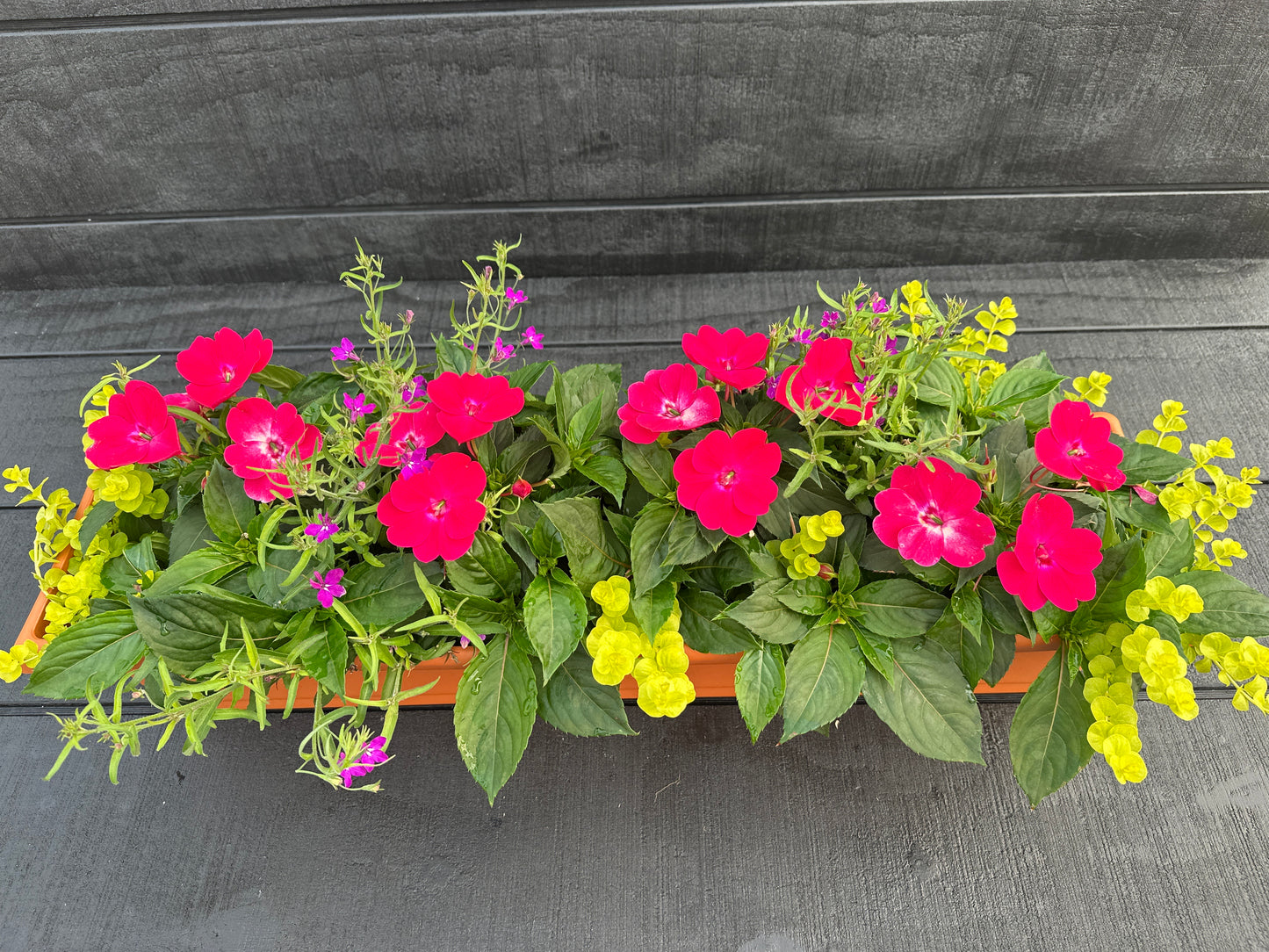 COMBO #8 - 30" WINDOW BOX