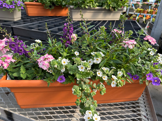 COMBO #26 - 24" WINDOW BOX