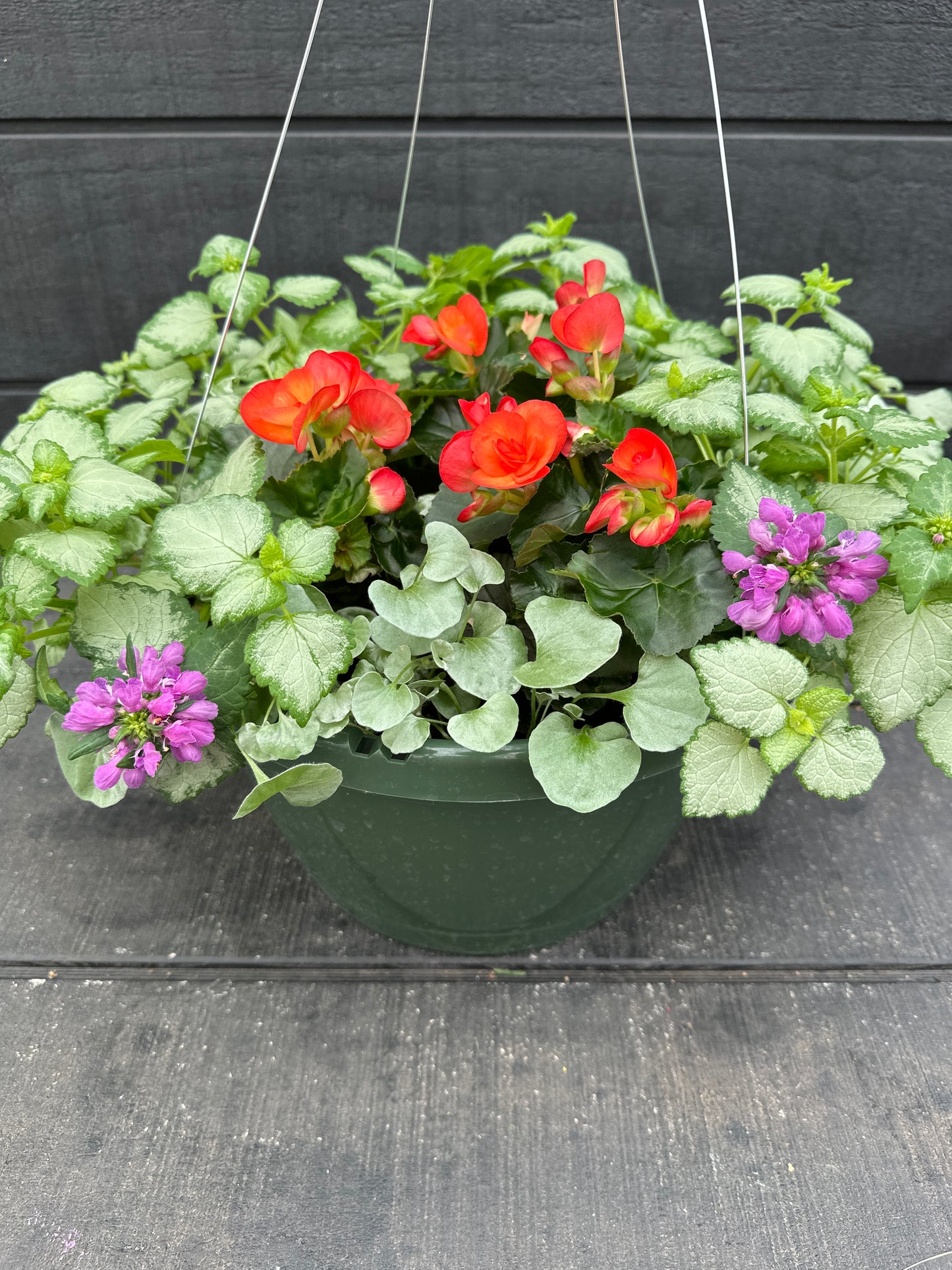 BASKET #76 - 12'' HANGING BASKET