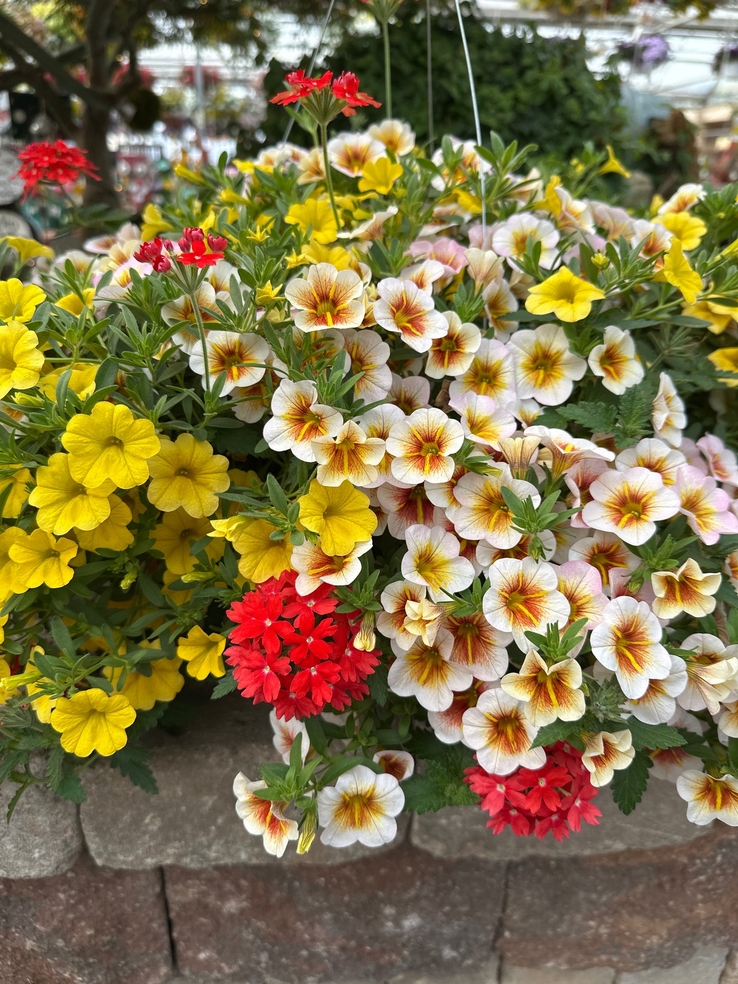 BASKET #30 - 10" HANGING BASKET
