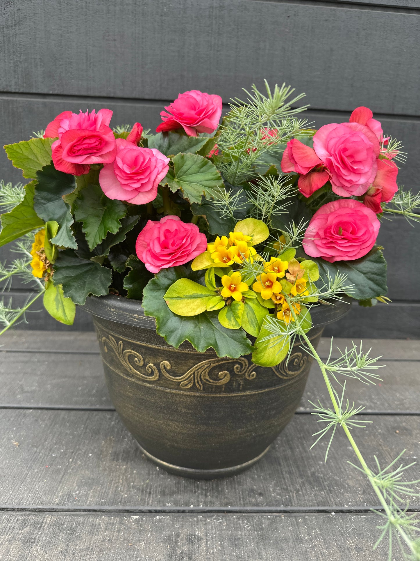 COMBO #36 - 12'' POT