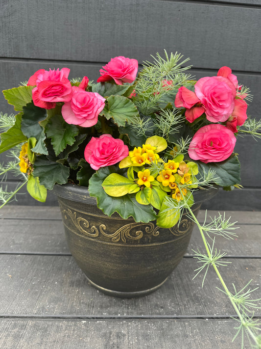 COMBO #36 - 12'' POT