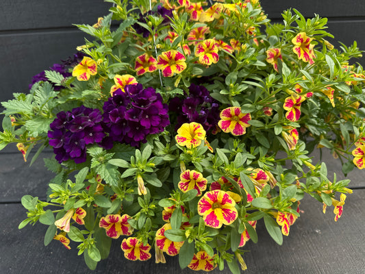 BASKET #82 - 12'' HANGING BASKET