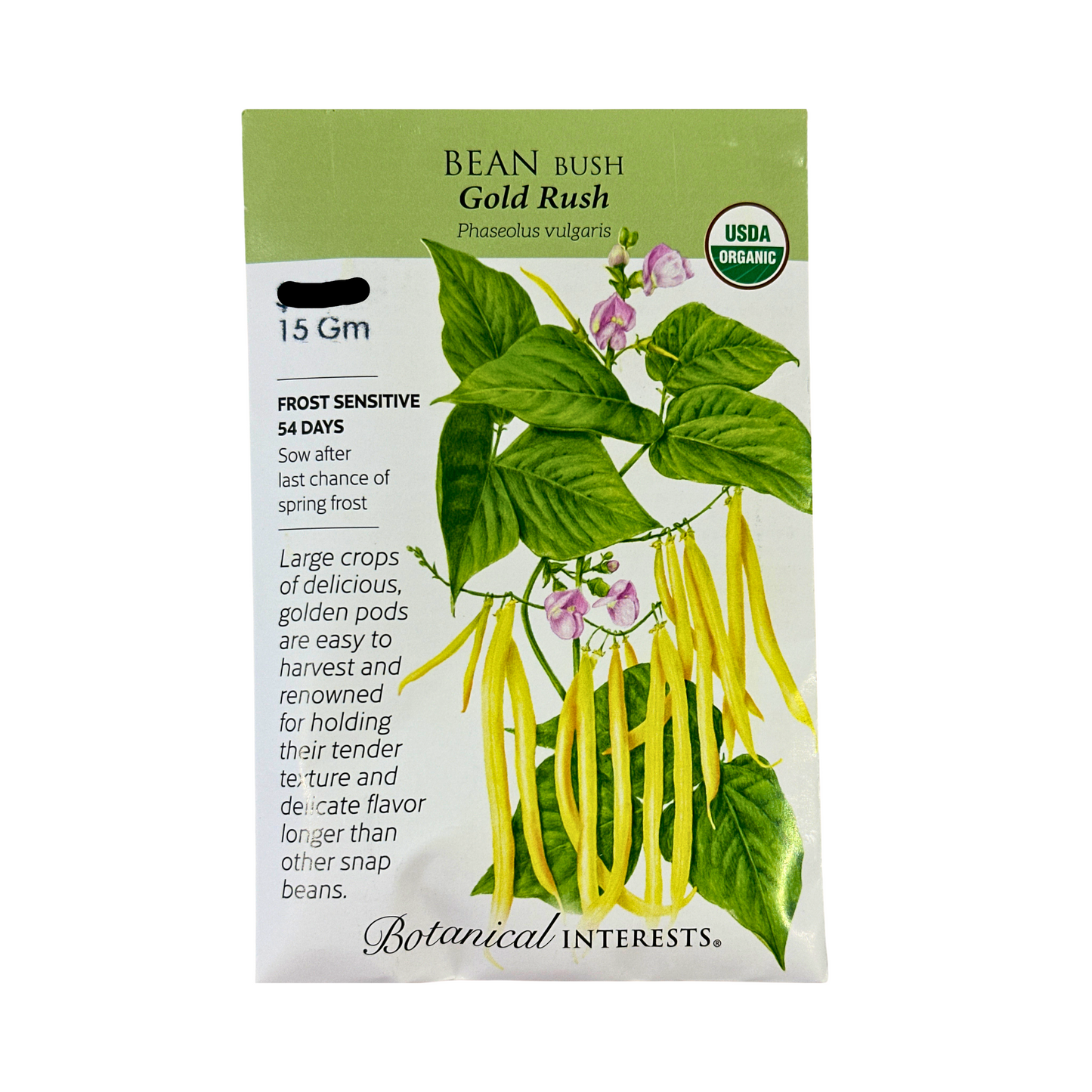 Bean Bush (yellow) Gold Rush Org